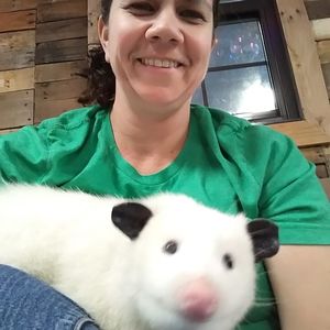 Meet your Posher, Loriann
